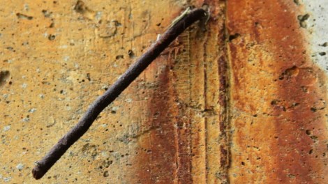 Kobresia Fragments - Relic