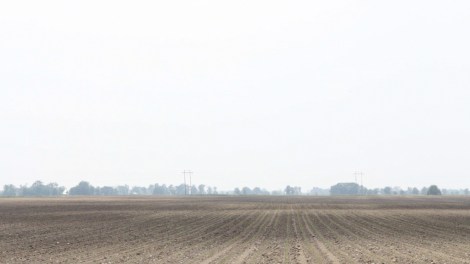 Kobresia Fragments - The Land